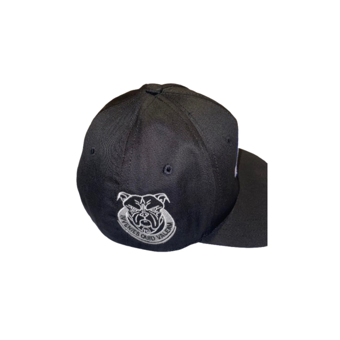 SMART Union Hat (Regular)